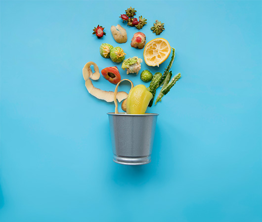 Food Waste Collection