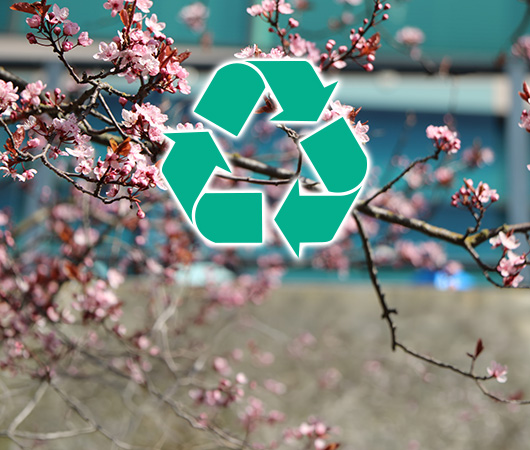 Peach Blossom Trees Recycling Program 2026